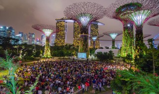 Gardens By The Bay