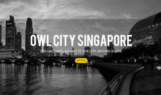owl city singapore featured