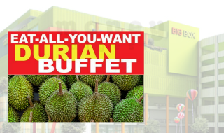 Big Box Durian Buffet 2