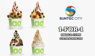 llaollao Suntec City Small Cup