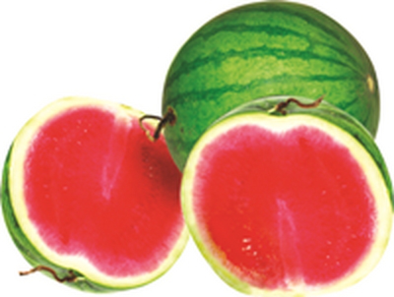 MALAYSIA Red Seedless Watermelon