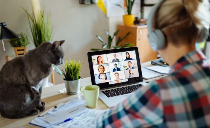 woman having a video call with colleagues