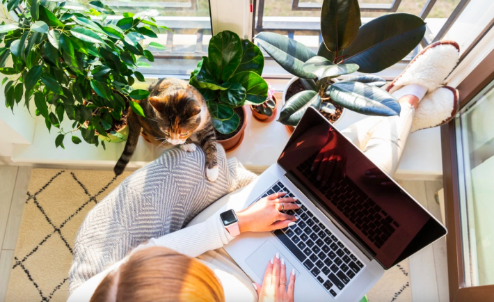 woman working on a laptop with a cat by her side