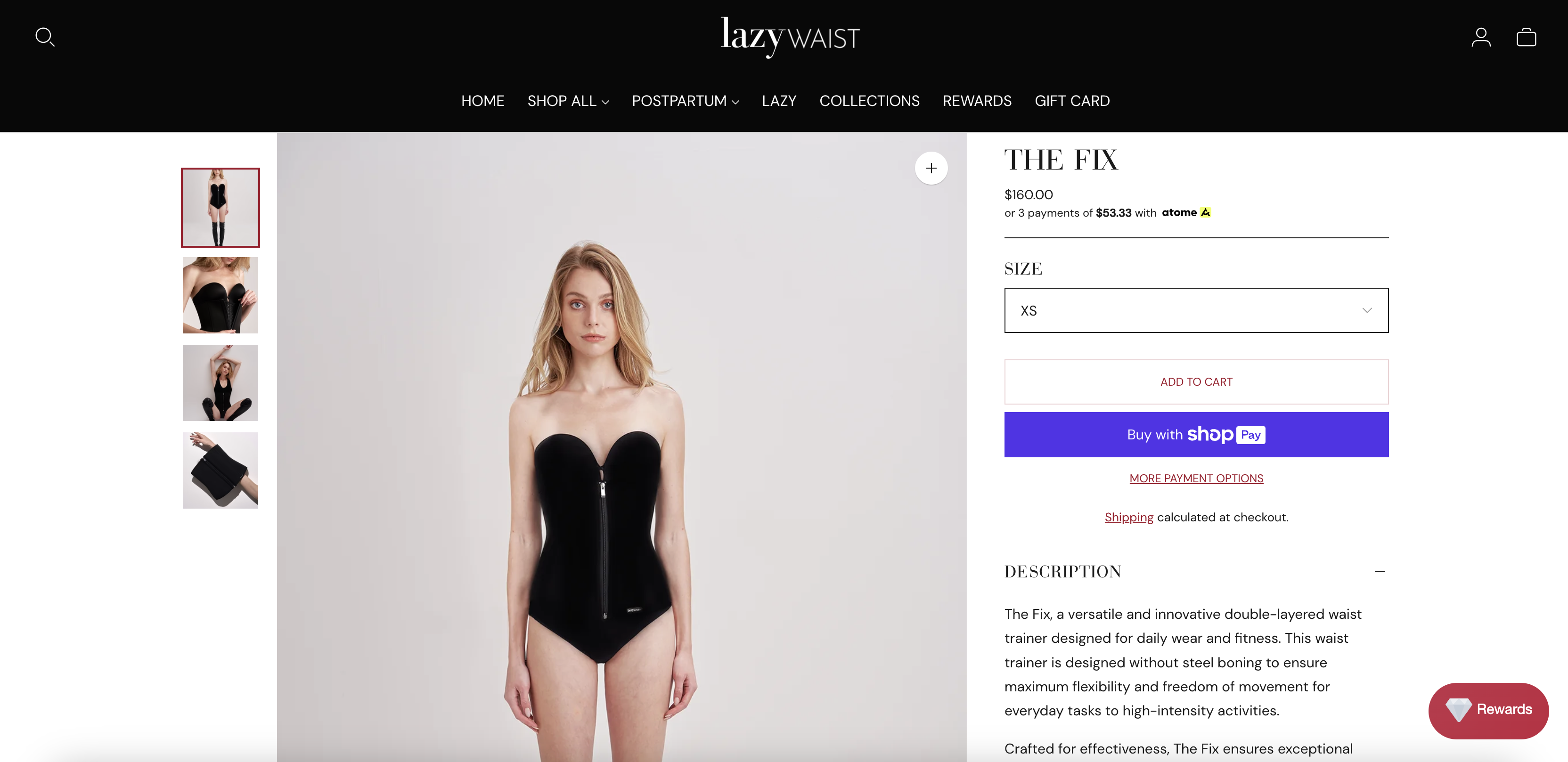 Lazywaist The Fix