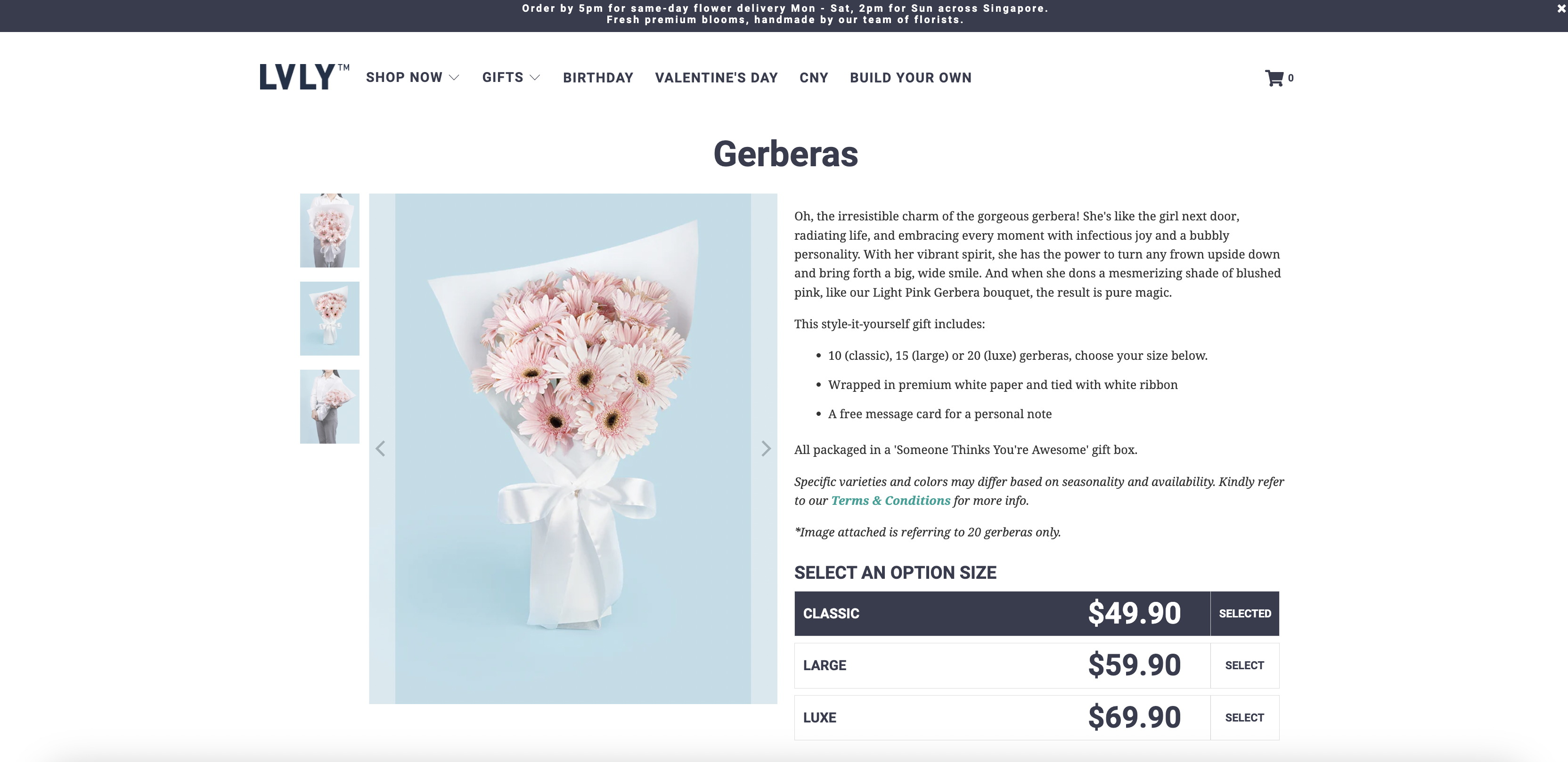 Gerberas